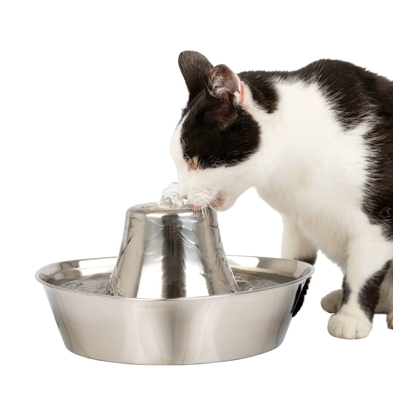 PetSafe Seaside 1.8 Lt. Paslanmaz Çelik Su Pınarı PWW19-17100