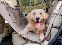 PetSafe Happy Ride Arka Koltuk Hamağı Taba Renk Ptv17-16895