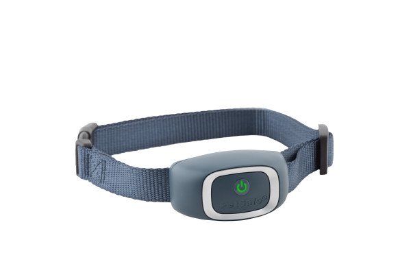 PetSafe Statik Eğitim Tasması PBC19-16636