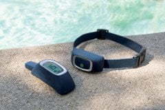 PetSafe Uzaktan Kontrol Köpek Eğitim Tasması 600 m. PDT19-16122