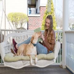 PetSafe Uzaktan Kontrol Köpek Eğitim Tasması 300 m. PDT19-16119