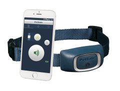 PetSafe Smart Dog Telefon Aplikasyonlu Uzaktan Kontrol Köpek Eğitim Tasması PDT19-16200