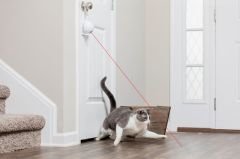 PetSafe Dans Eden Işık Lazer Oyuncak PTY19-17058