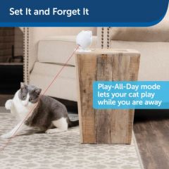 PetSafe Dans Eden Işık Lazer Oyuncak PTY19-17058