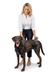 PetSafe Solvit Ön Arka Köpek Kalça Destek Yürüme Tasması Büyük Boy 62367 PTV17-16880