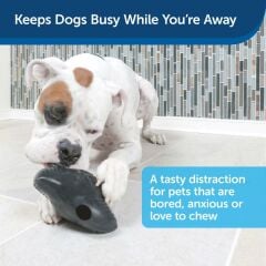 PetSafe Busy Buddy Ninja Sesli Oyuncak L BB-SNT-NINJA-L-19