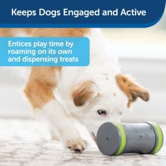PetSafe Gezinen Atıştırmalık Köpek Oyuncağı PTY19-16964