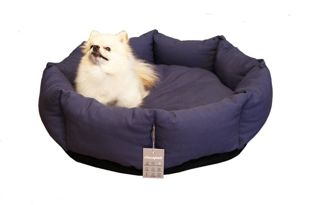 CecePet Bella Serisi Kedi ve Köpek Yatağı