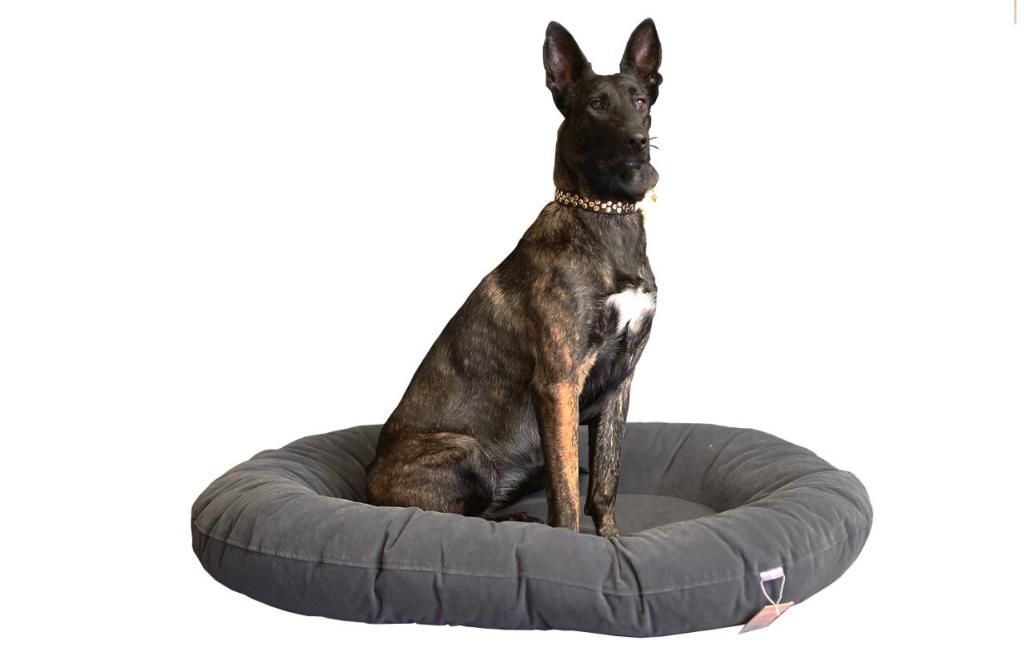 CecePet Leo Serisi Kedi ve Köpek Yatağı 110x95 cm