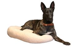 CecePet Chips Serisi Kedi ve Köpek Yatağı 70x70 cm