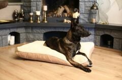 CecePet MIU Serisi Çift Taraflı Kedi ve Köpek Yatağı 100x70 cm