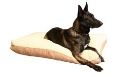 CecePet MIU Serisi Çift Taraflı Kedi ve Köpek Yatağı 100x70 cm