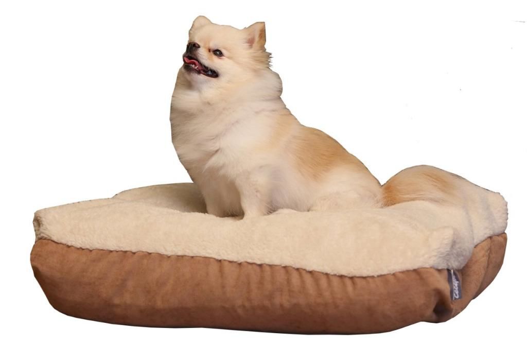 CecePet MIU Serisi Çift Taraflı Kedi ve Köpek Yatağı 60x40 cm