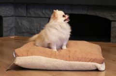 CecePet MIU Serisi Çift Taraflı Kedi ve Köpek Yatağı 60x40 cm