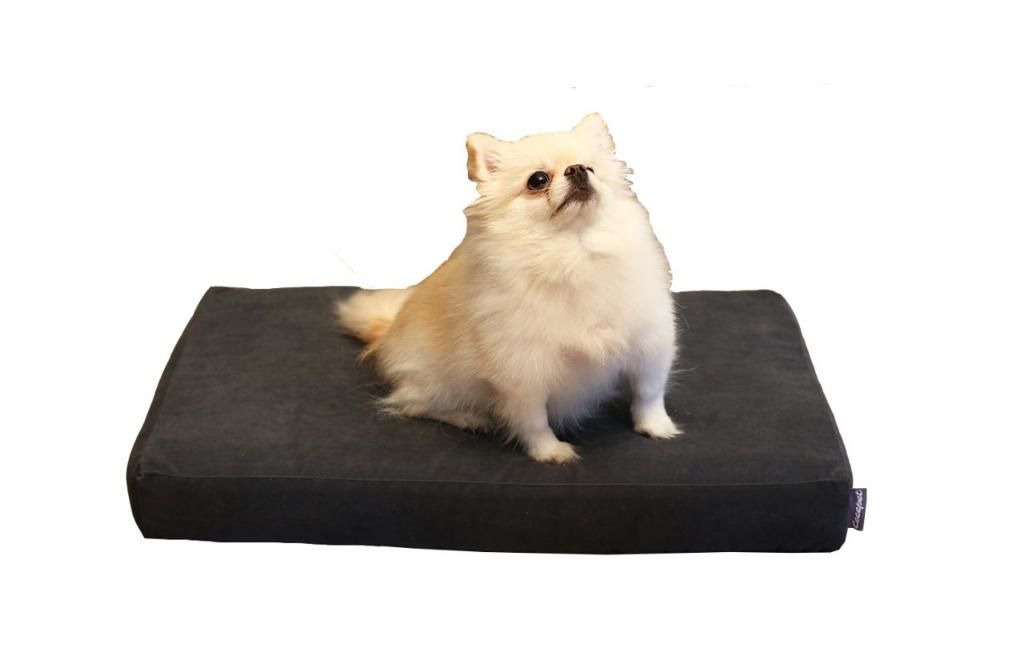 CecePet Arya Serisi Ortopedik Premium Kedi ve Köpek Yatağı 60x45 cm