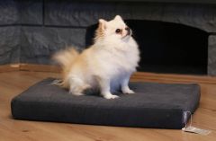 CecePet Arya Serisi Ortopedik Premium Kedi ve Köpek Yatağı 60x45 cm