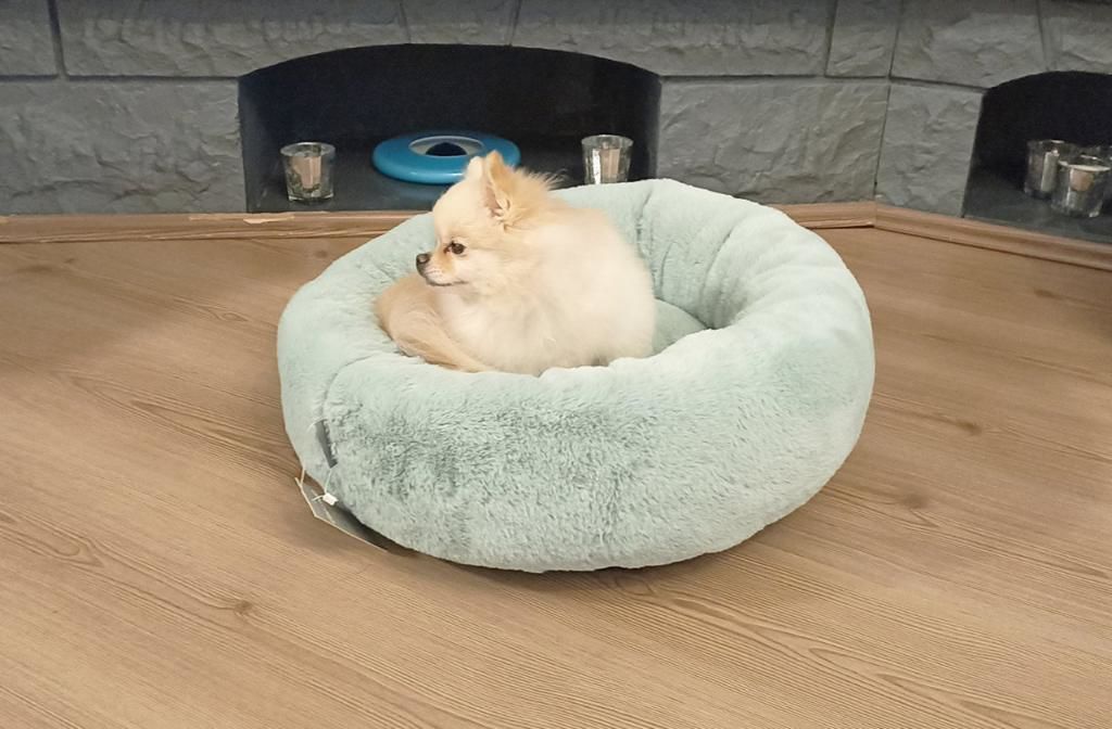 CecePet Bambi Serisi Kedi ve Köpek Yatağı 55x55cm - Mint