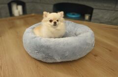 CecePet Bambi Serisi Kedi ve Köpek Yatağı 60x60 cm - Baby Blue