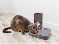 PetSafe 2 Öğün Otomatik Mama Kabı PFD19-17005