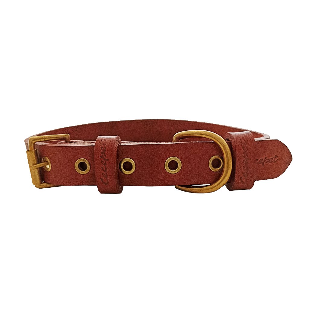 Tengri Handmade Deri Köpek Tasması Açık Kahve M (36-45CM) Cl-Te-T-M