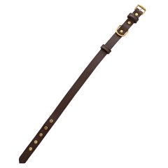 Tengri Handmade Deri Köpek Tasması Kahverengi L (46-55 CM) Cl-Te-Br-L