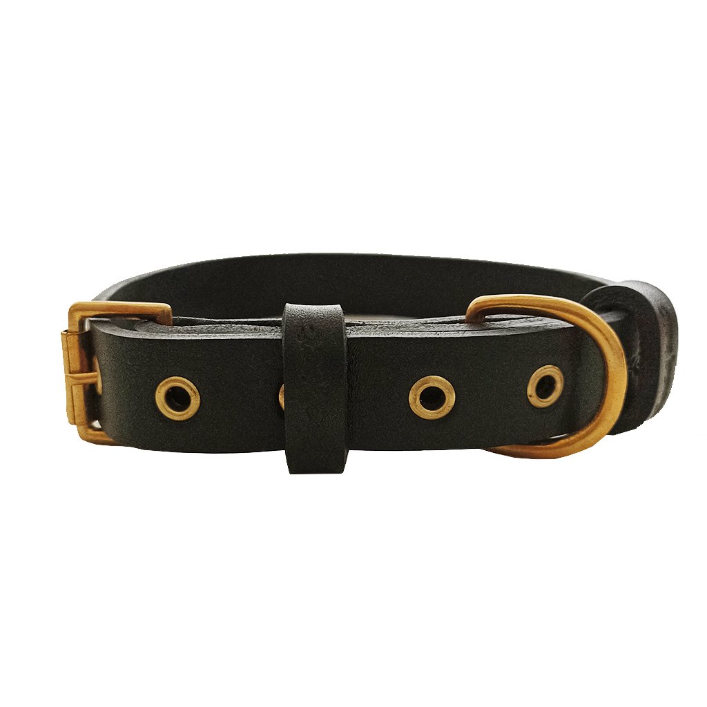 Tengri Handmade Deri Köpek Tasması Siyah M  (36-45CM) Cl-Te-Bl-M