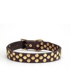 Aten Handmade Deri Köpek Tasması Kahverengi M (36-45CM) Cl-At-Br-M