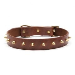 Thor Handmade Deri Köpek Tasması Açık Kahve M (36-45CM) Cl-Th-T-M