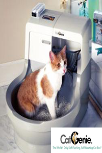 CatGenie Otomatik Kedi Tuvaleti