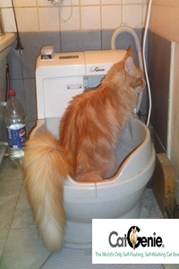 CatGenie Otomatik Kedi Tuvaleti