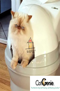 CatGenie Otomatik Kedi Tuvaleti