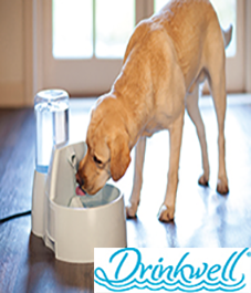 Drinkwell Big Dog Su Pınarı