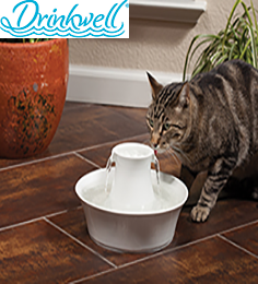 Drinkwell Porselen Su Pınarı