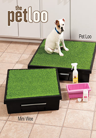 PetLoo Mini Boy