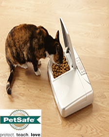 PetSafe PetPod Digital Otomatik Mama Kabı