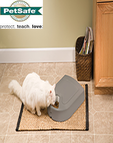 PetSafe 5 Öğün Otomatik Mama Kabı