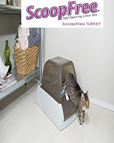 ScoopFree Kedi Tuvaleti