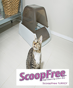 ScoopFree Kedi Tuvaleti