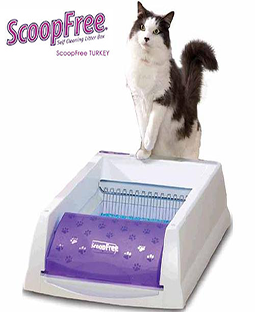 ScoopFree Kedi Tuvaleti