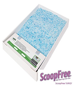 ScoopFree Kedi Tuvaleti