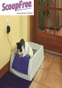ScoopFree Kedi Tuvaleti