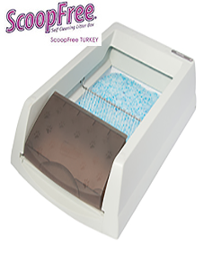 ScoopFree Kedi Tuvaleti